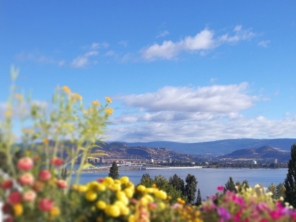 Lakeview Oasis Bed And Breakfast West Kelowna Exterior photo